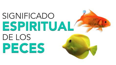 cepesito significado|PECESITO .